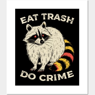 Trash Raccoon Posters and Art